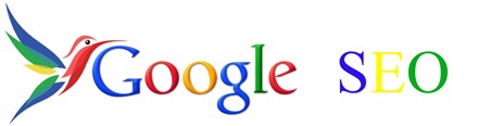 Windemere Google website ranking